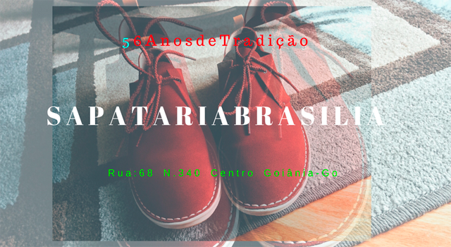 Como Importar Tênis e bolsa de marca 1
